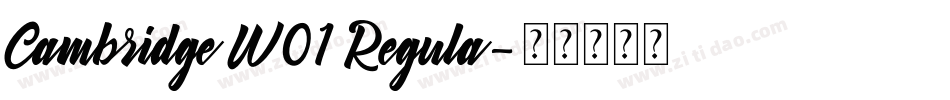 Cambridge W01 Regula字体转换